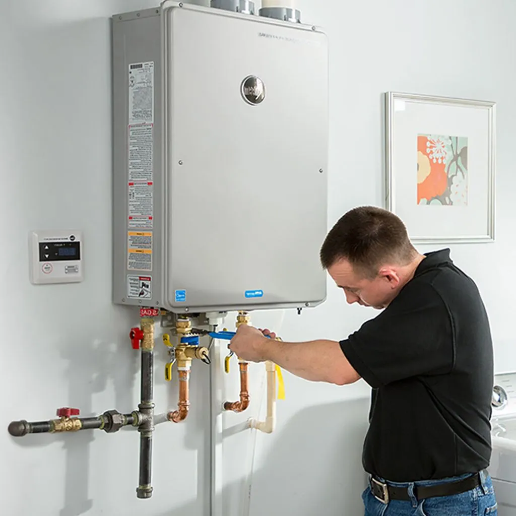 tankless water heater repair in Centerville, WA